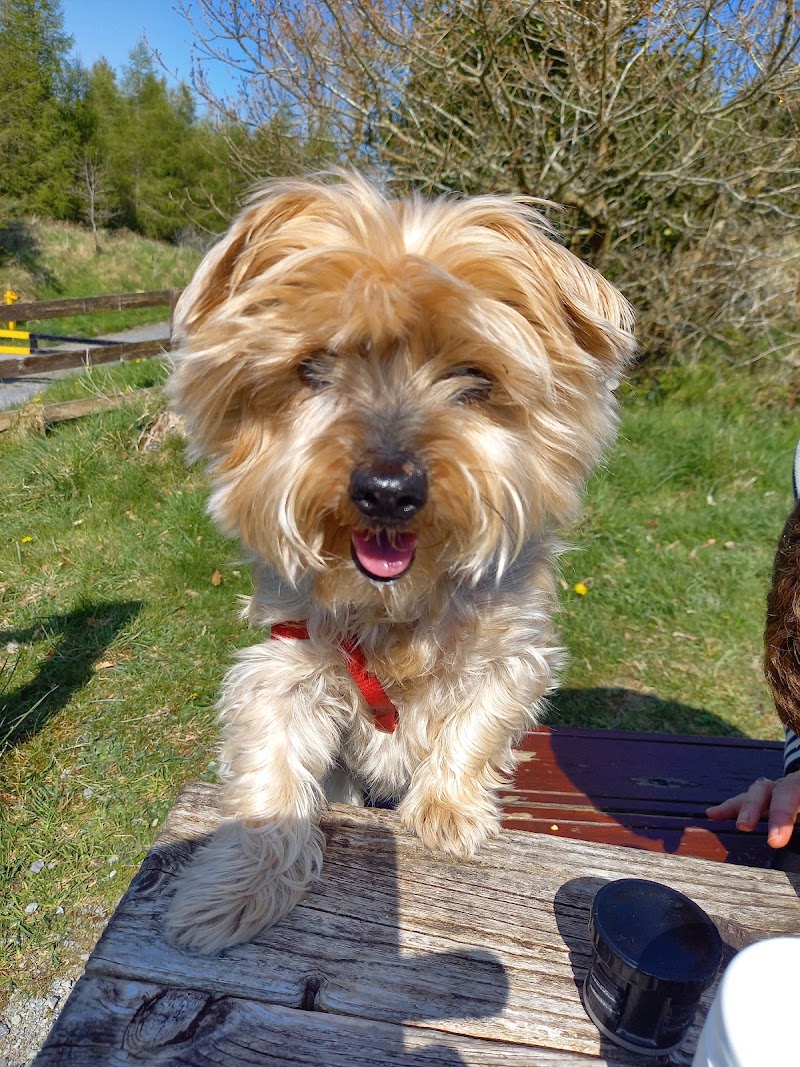 Birr Veterinary Clinic