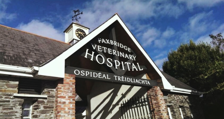 Faxbridge Veterinary