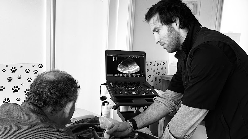 Fox Veterinary Clinic