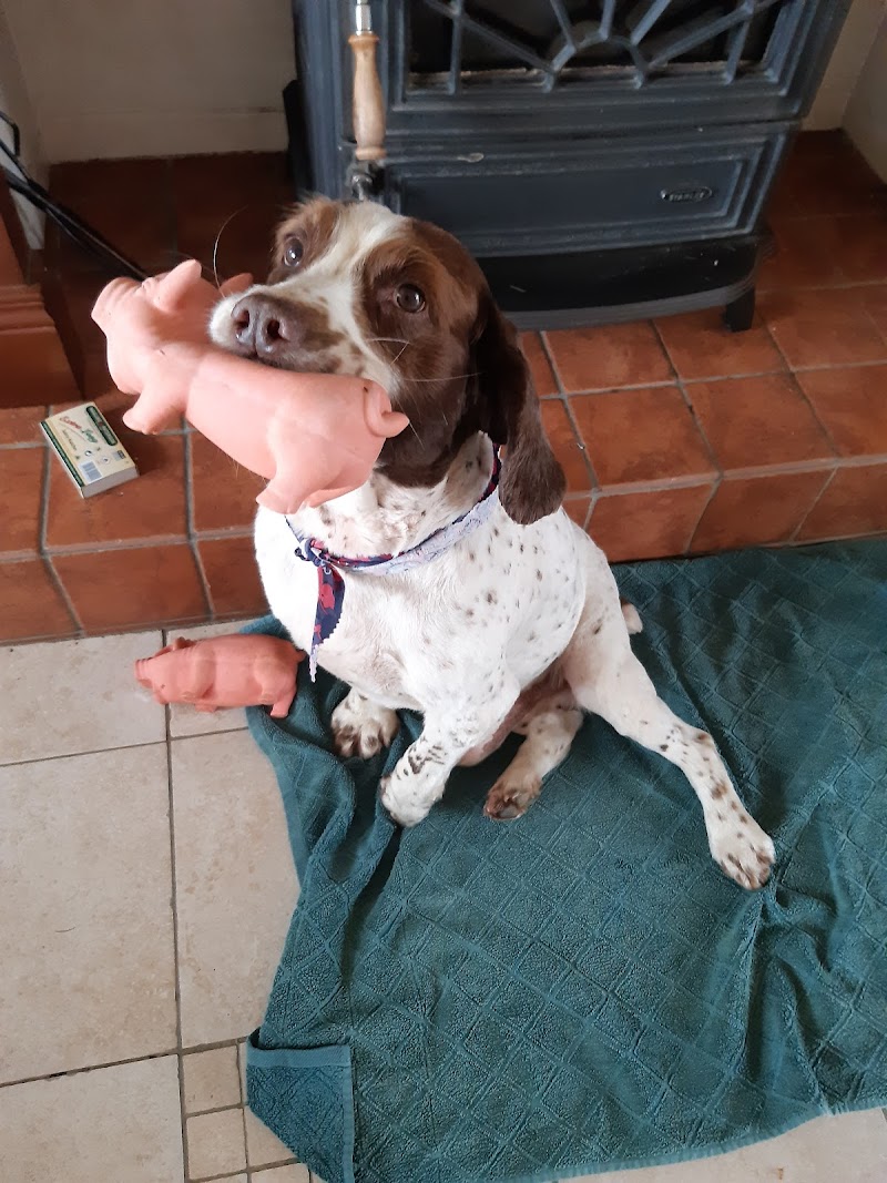 Mill House Veterinary