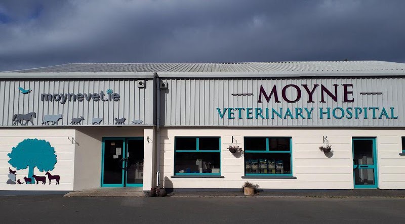 Moyne Veterinary Hospital