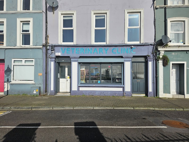 Village Vets Cobh (Cashman Cobh)